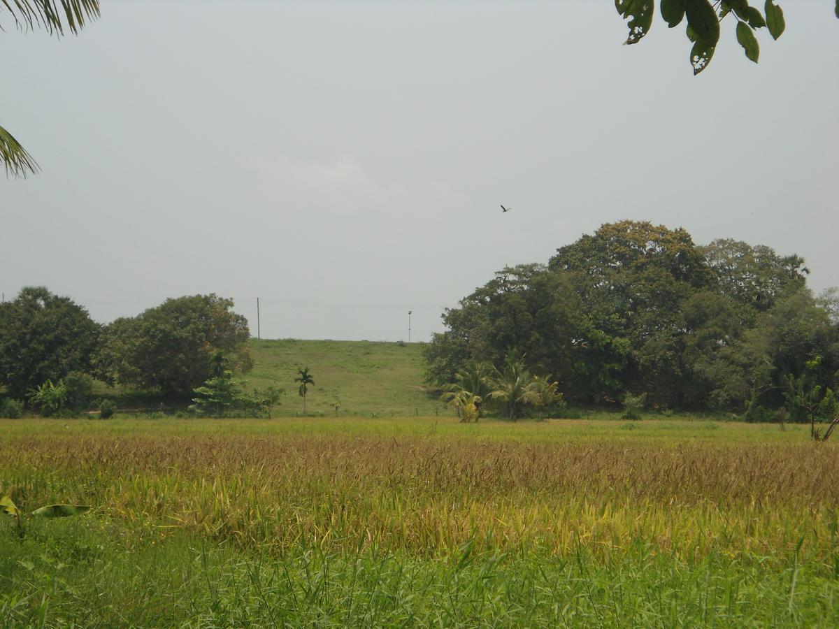 Villa Ravichini Polonnaruwa Exterior photo